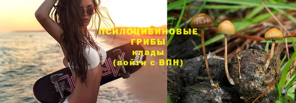 эйфоретик Каменка