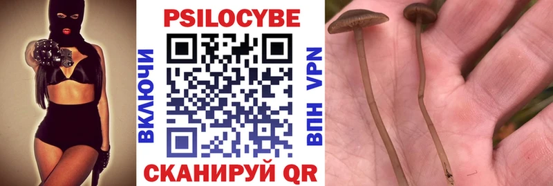 Псилоцибиновые грибы ЛСД  Шахты 